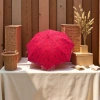 Red lace embroidered umbrella for both weather and rain, waterproof, sun-proof, lightweight and foldable, a special umbrella for women details Picture